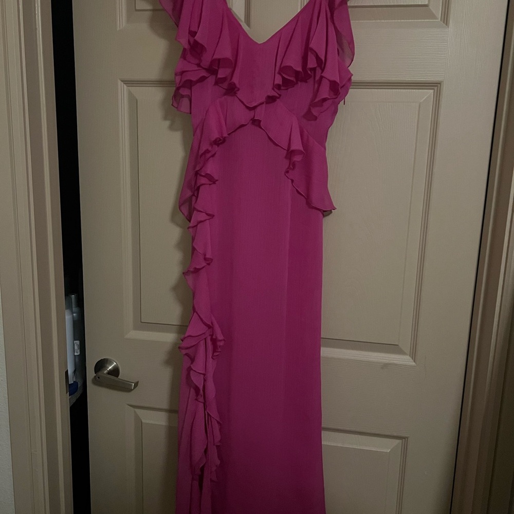 NWT Zara Pink Ruffle Dress